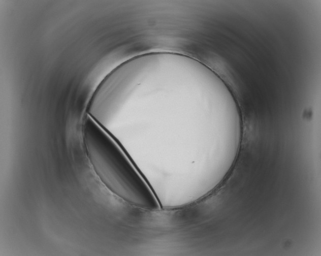 X0000112490908200909071218