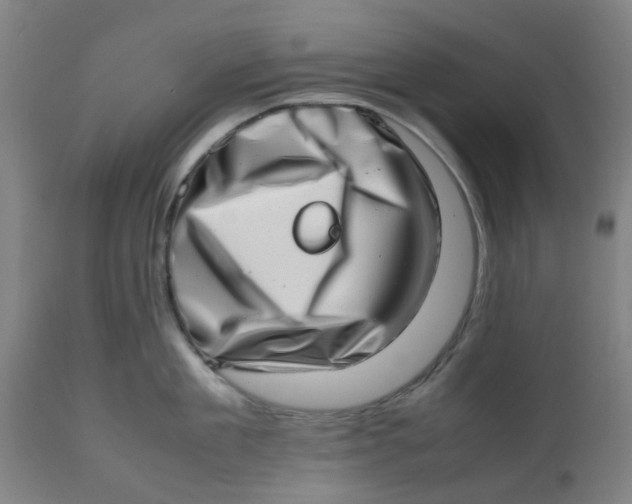 X0000112490909200909071218