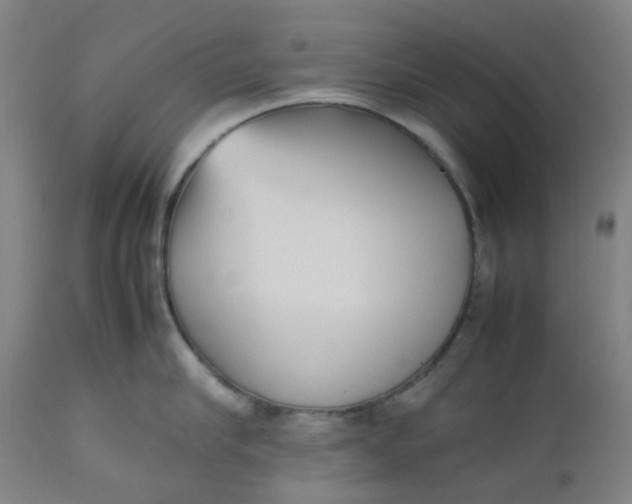 X0000112490910200909071218