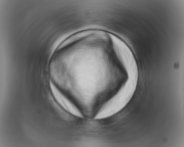 X0000112490911200909071218