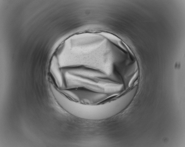 X0000112490912200909071218