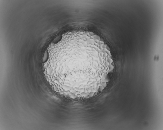 X0000112490913200909071217