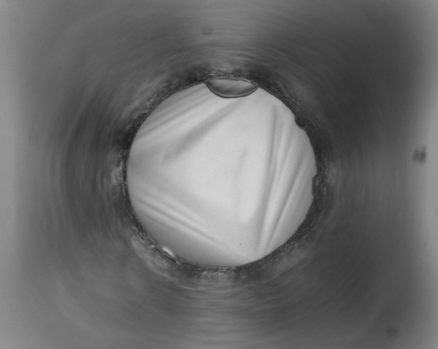 X0000112490914200909071217