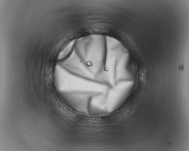 X0000112490915200909071217