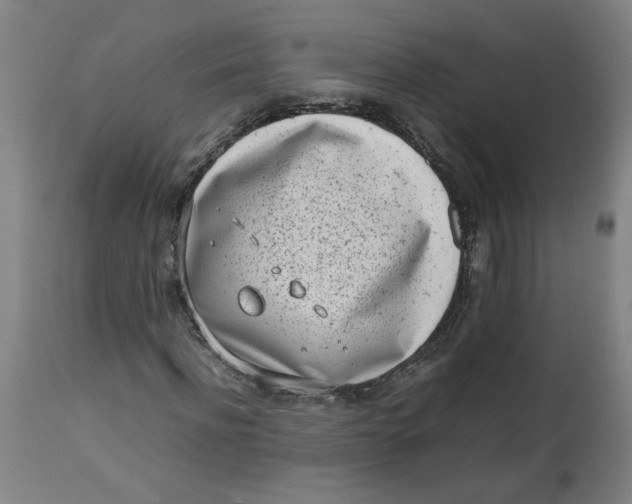 X0000112490916200909071217