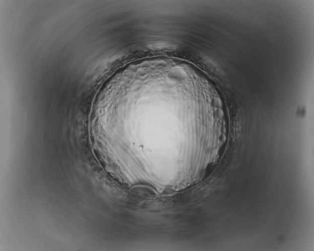 X0000112490917200909071217