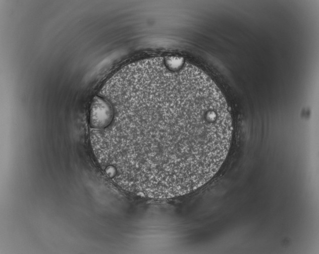 X0000112490918200909071218