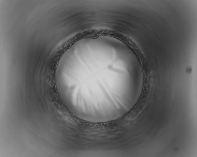 X0000112490919200909071218