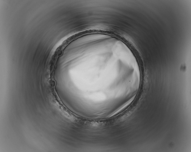 X0000112490923200909071218