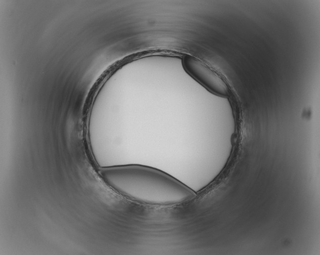 X0000112490924200909071218