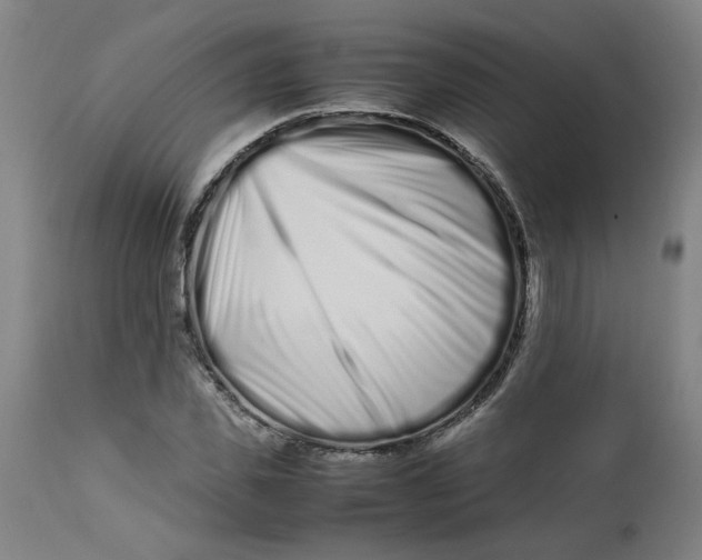 X0000112490925200909071218