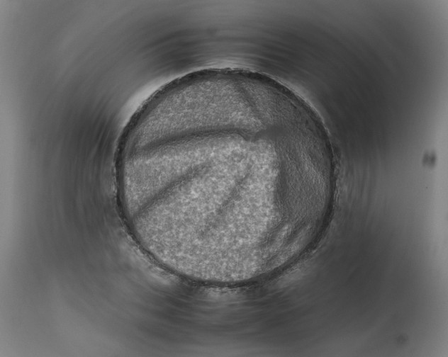 X0000112490927200909071218