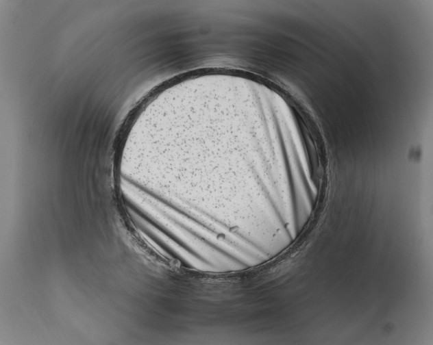 X0000112490931200909071218