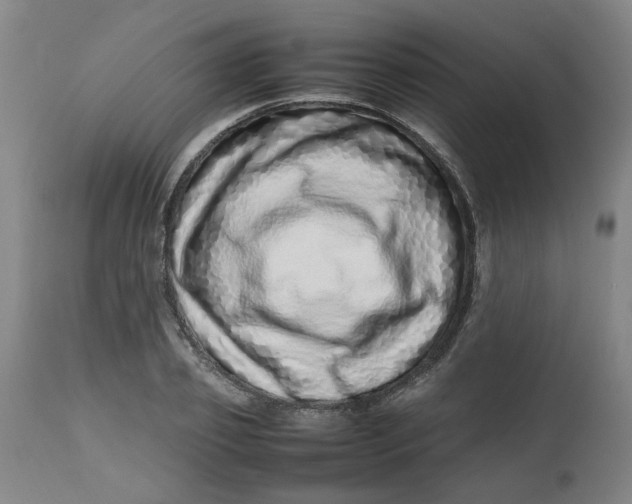 X0000112490933200909071218