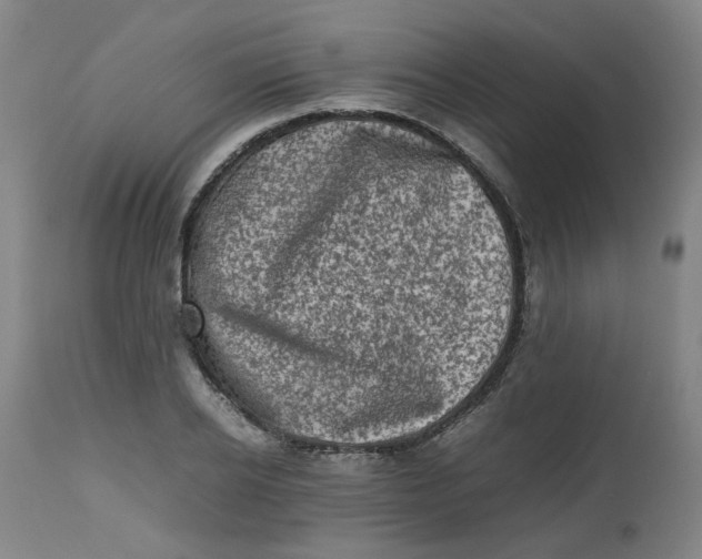 X0000112490934200909071218