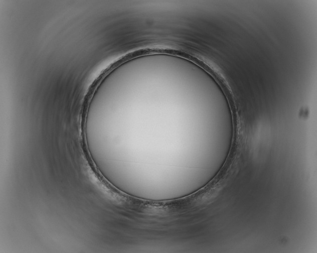 X0000112490935200909071218