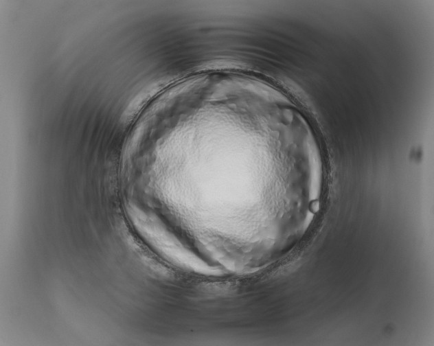 X0000112490937200909071218