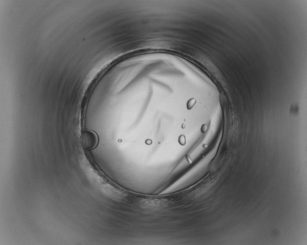 X0000112490939200909071218