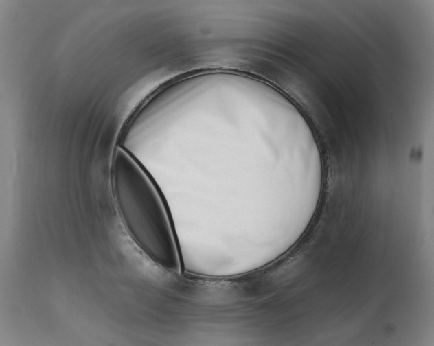 X0000112490940200909071218