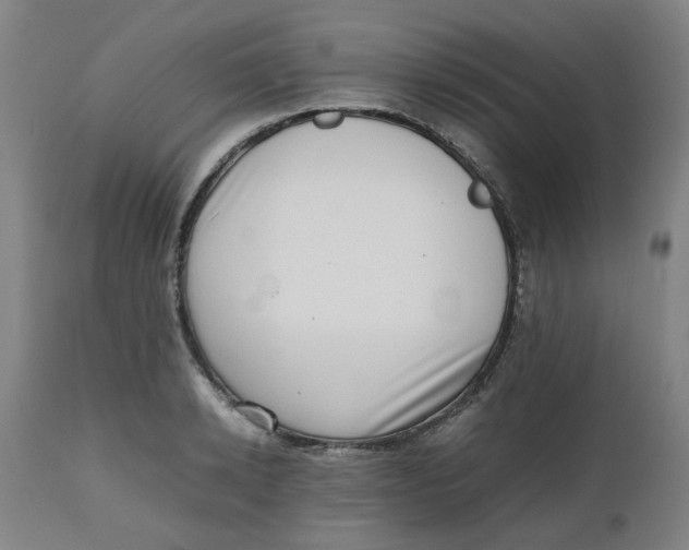 X0000112490942200909071218