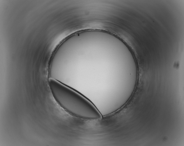 X0000112490944200909071218