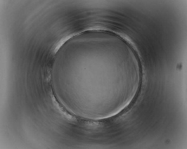 X0000112490945200909071218