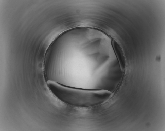 X0000112490946200909071218