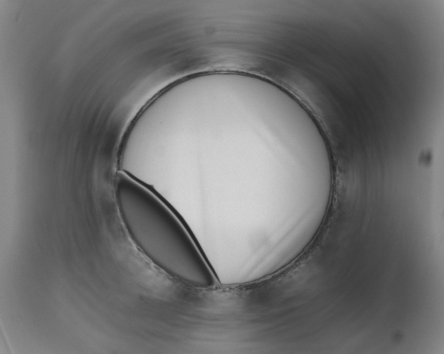 X0000112490948200909071218