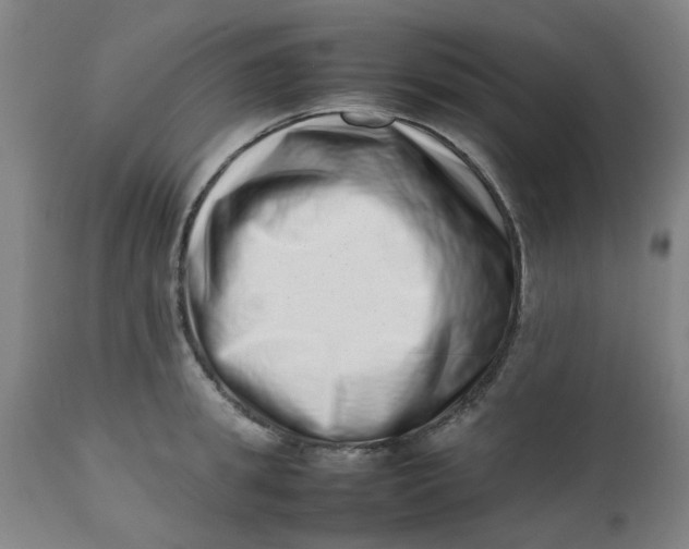 X0000112490949200909071218