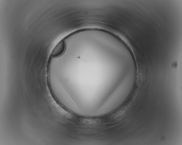 X0000112490951200909071218