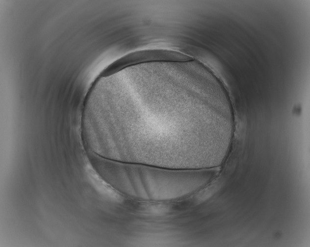 X0000112490952200909071218