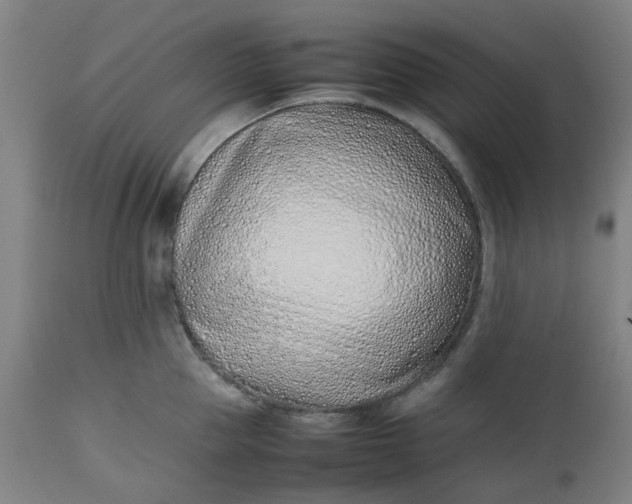 X0000112490953200909071218