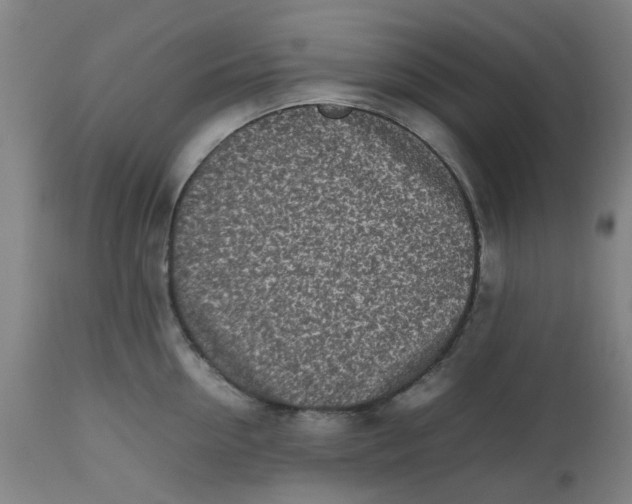 X0000112490954200909071218