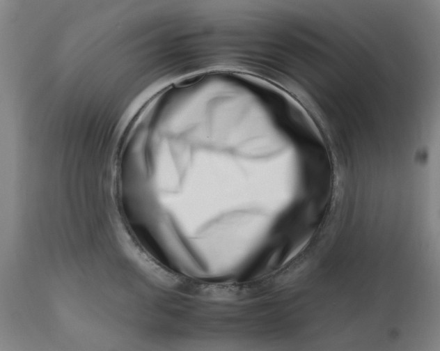 X0000112490955200909071218