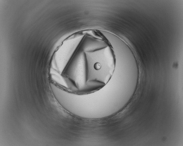 X0000112490956200909071218