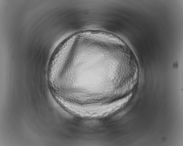 X0000112490957200909071218