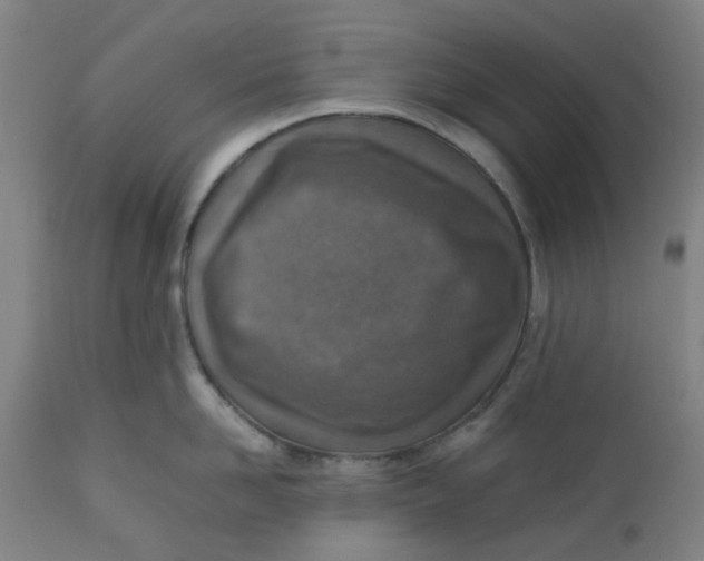 X0000112490958200909071218