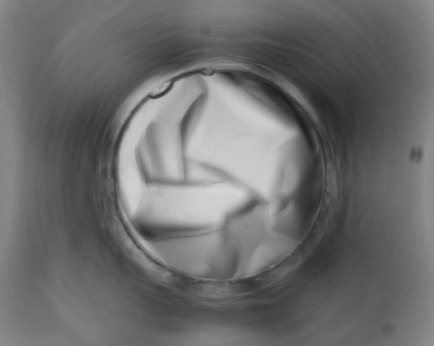 X0000112490959200909071218