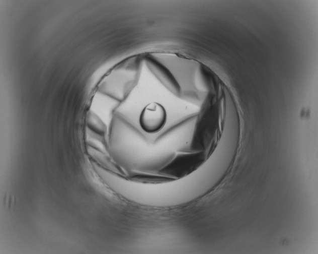 X0000112490960200909071218