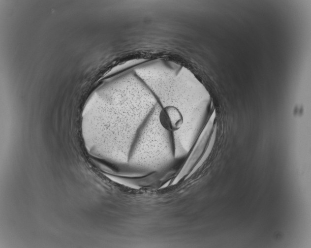 X0000112490961200909071217