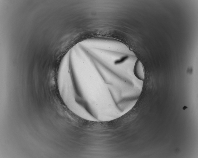 X0000112490962200909071217