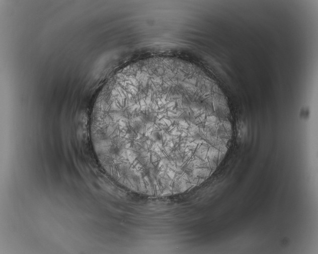 X0000112490964200909071217