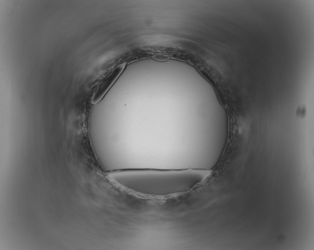 X0000112490965200909071217