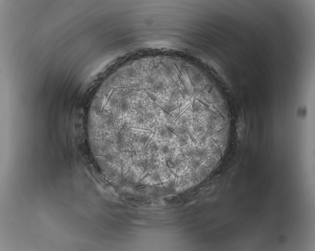 X0000112490968200909071217