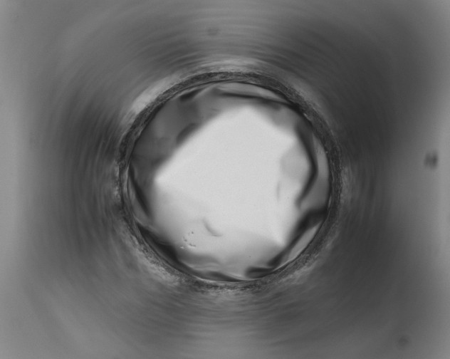 X0000112490970200909071217