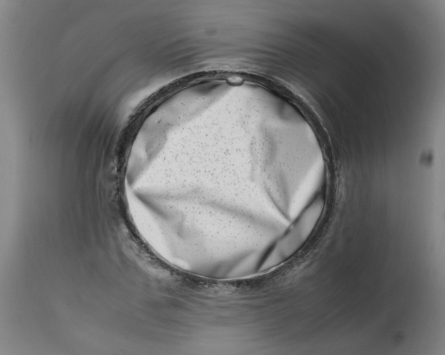 X0000112490971200909071217