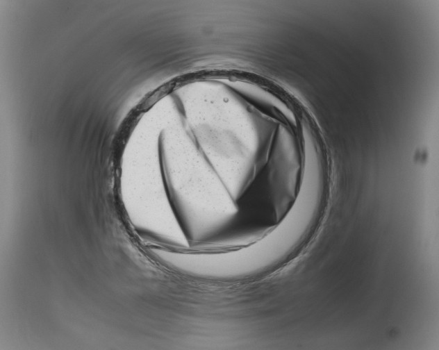 X0000112490973200909071217