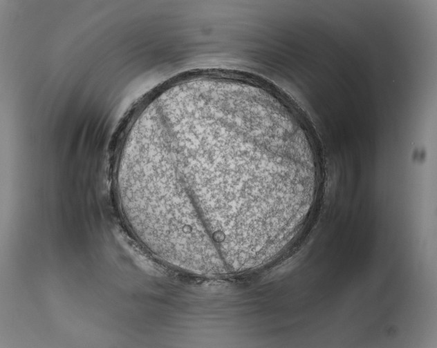 X0000112490974200909071217