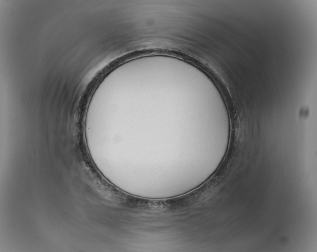 X0000112490975200909071217