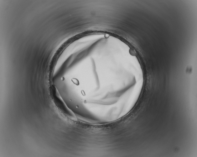 X0000112490976200909071217